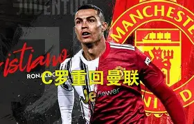 开云体育官网- c罗曼联比赛 